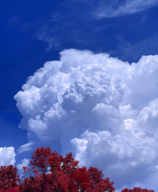 Bellowing Thunderstorm Clouds (Red) - Vertical Canvas